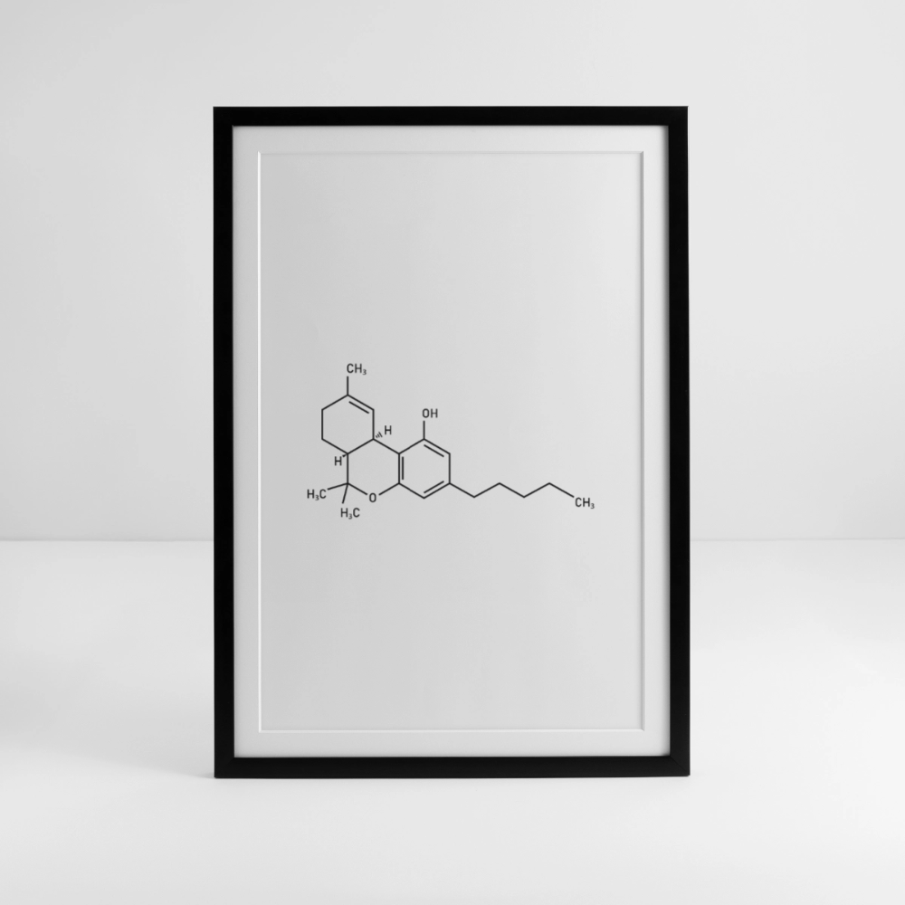 Cannabis-Sativa Gerahmtes Poster (49 × 69 cm) - Schwarz