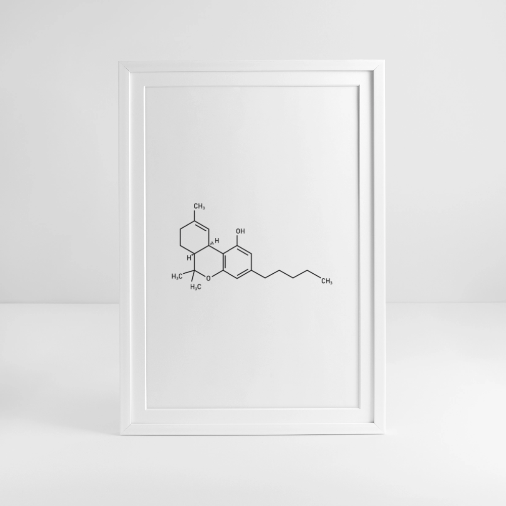 Cannabis-Sativa Gerahmtes Poster (49 × 69 cm) - Weiß