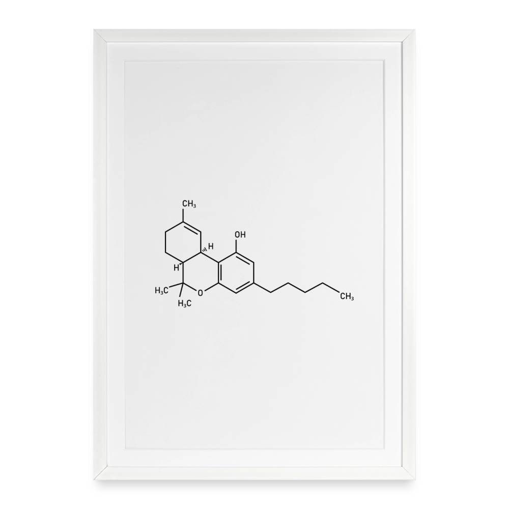 Cannabis-Sativa Gerahmtes Poster (49 × 69 cm) - Weiß