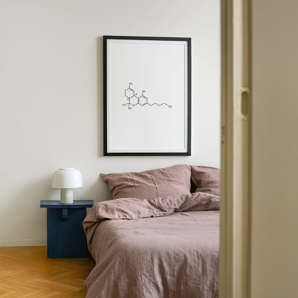 Cannabis-Sativa Gerahmtes Poster (49 × 69 cm) - Schwarz