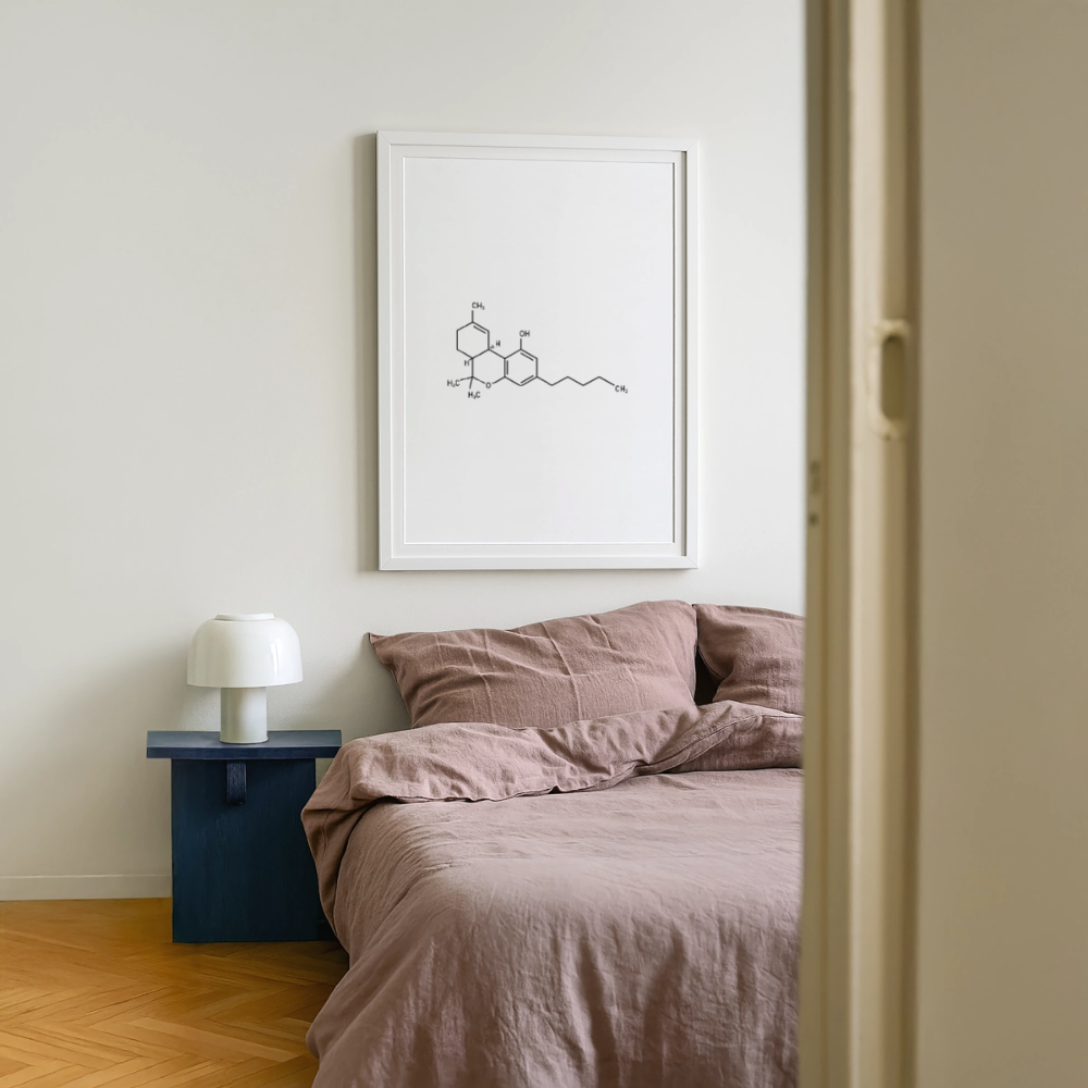 Cannabis-Sativa Gerahmtes Poster (49 × 69 cm) - Weiß