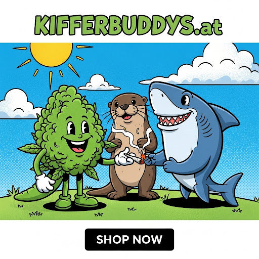 Kifferbuddys Member werden!