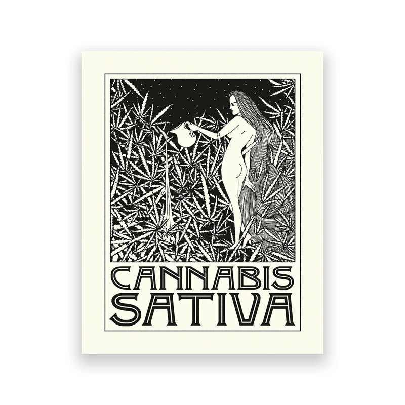 Indica and Sativa Prints Black and White Cannabis Poster Marijuana Canvas Painting Art