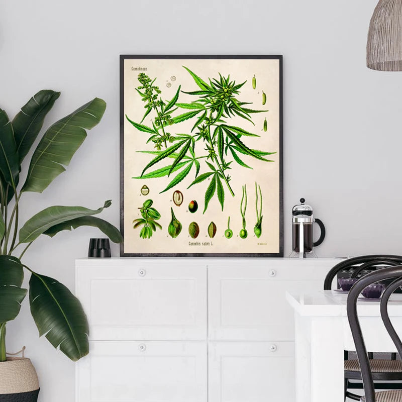 Cannabis Artwork