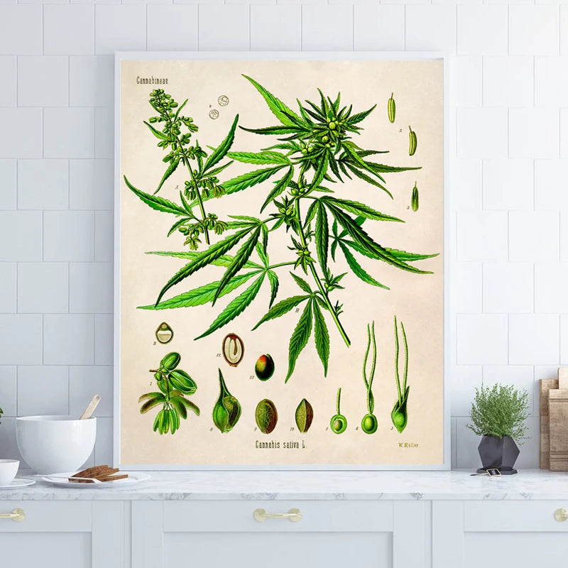 Cannabis Artwork