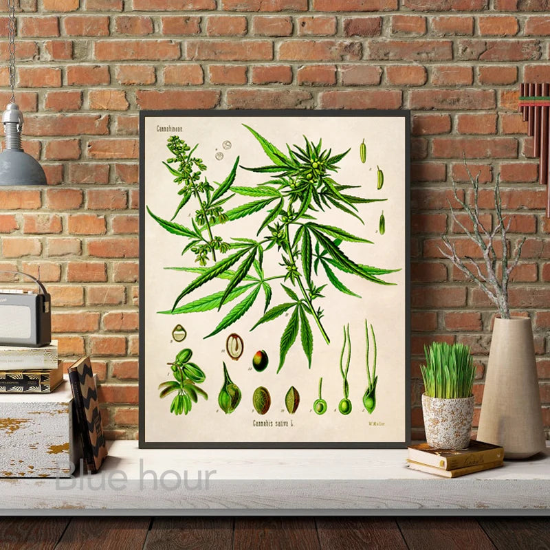 Cannabis Artwork