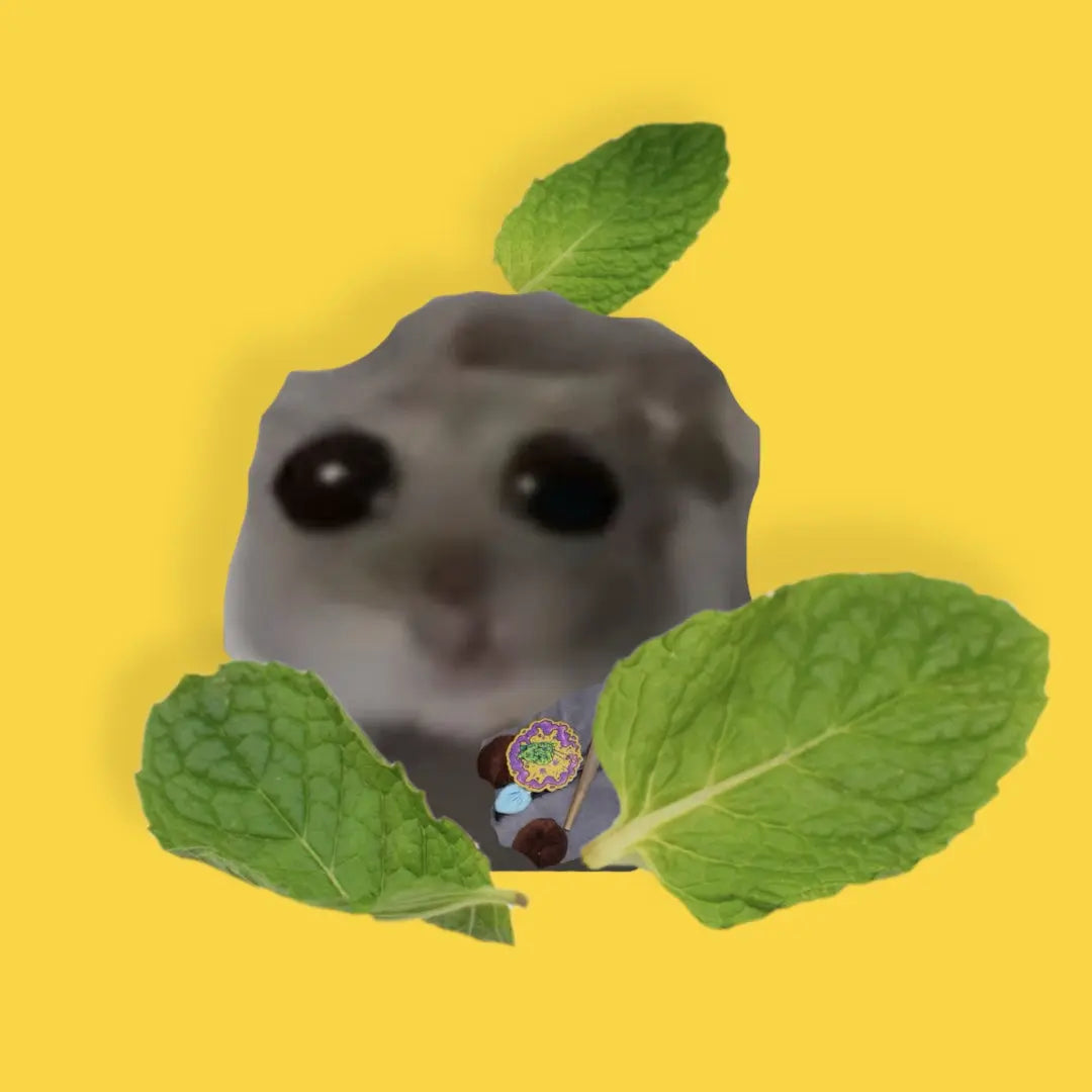 Kifferbuddys Member werden!