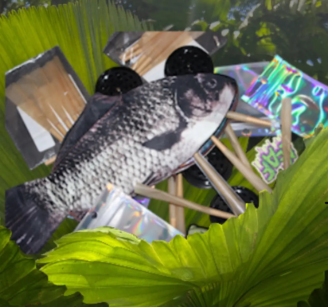 Buddy Fish