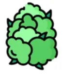 Kifferbuddys Member werden!